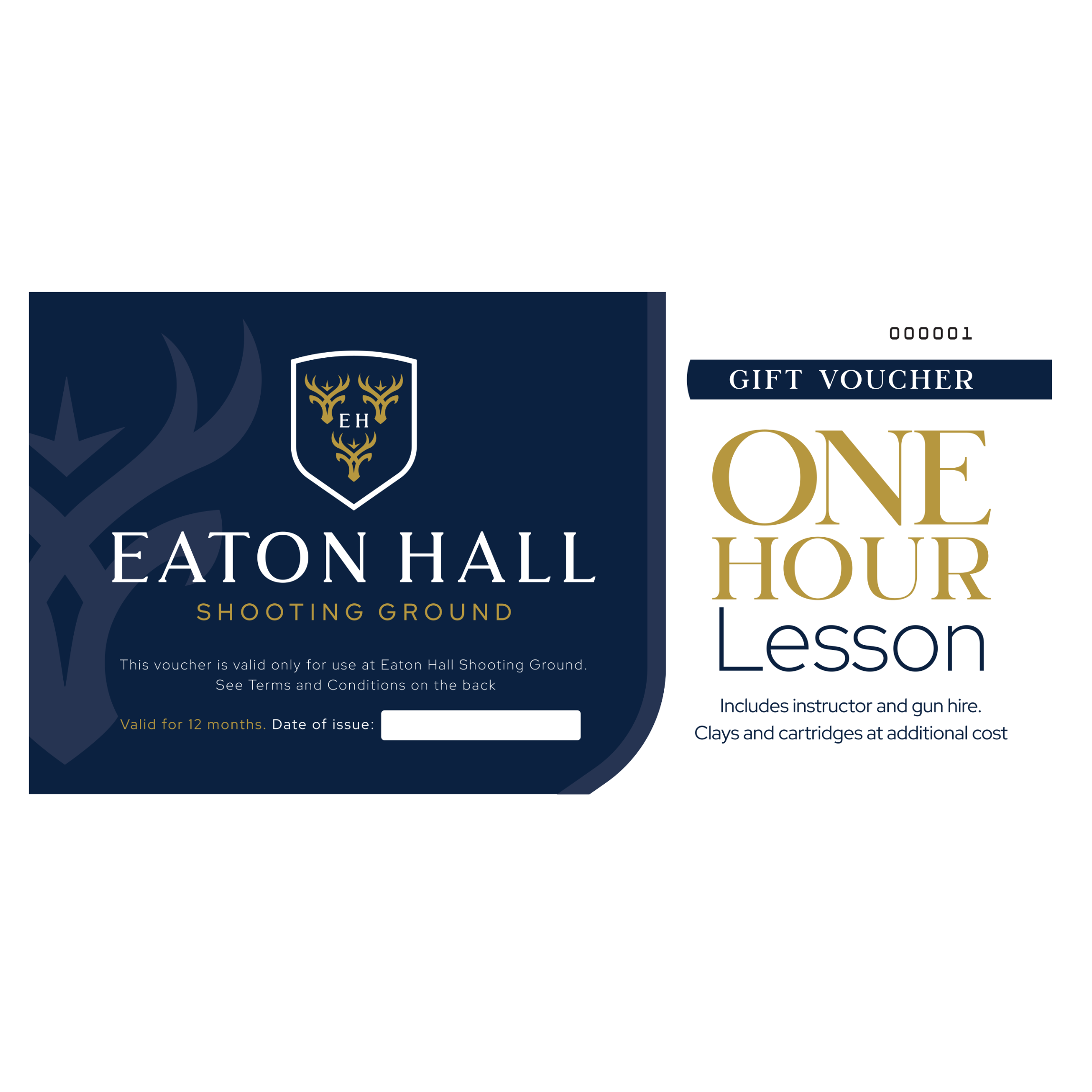 1 Hour Lesson