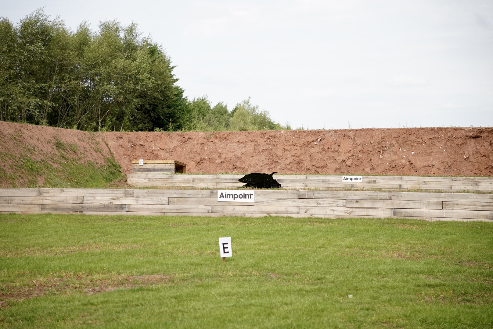 Running Boar